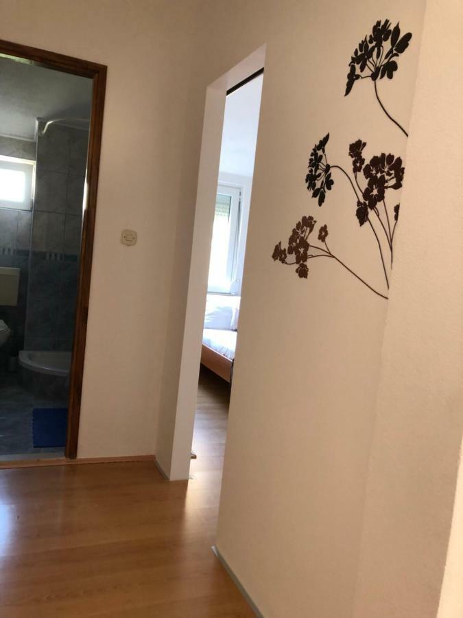 Apartman Polegubic 比奥格勒·纳·莫鲁 外观 照片